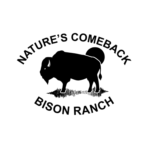 Naturescomeback Bison Ranch