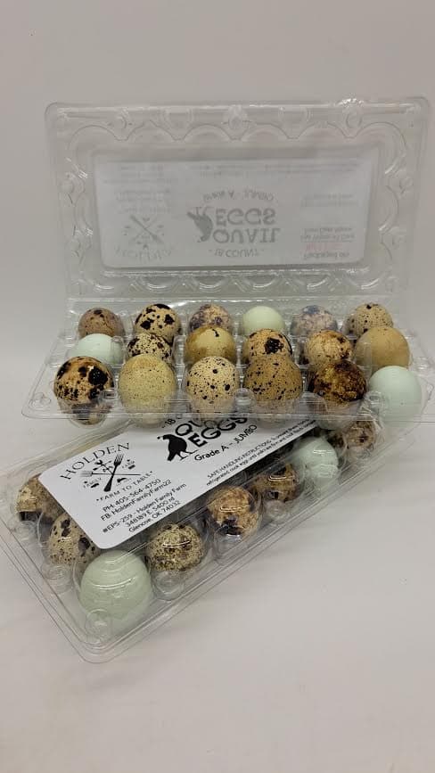041 Quail Eggs  - Holden Family Farm, 18ct