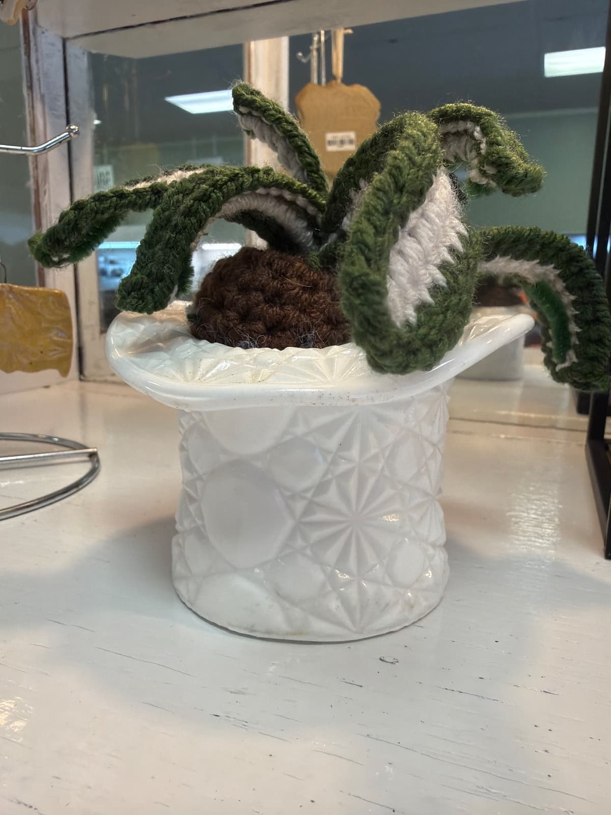 Crochet Plant