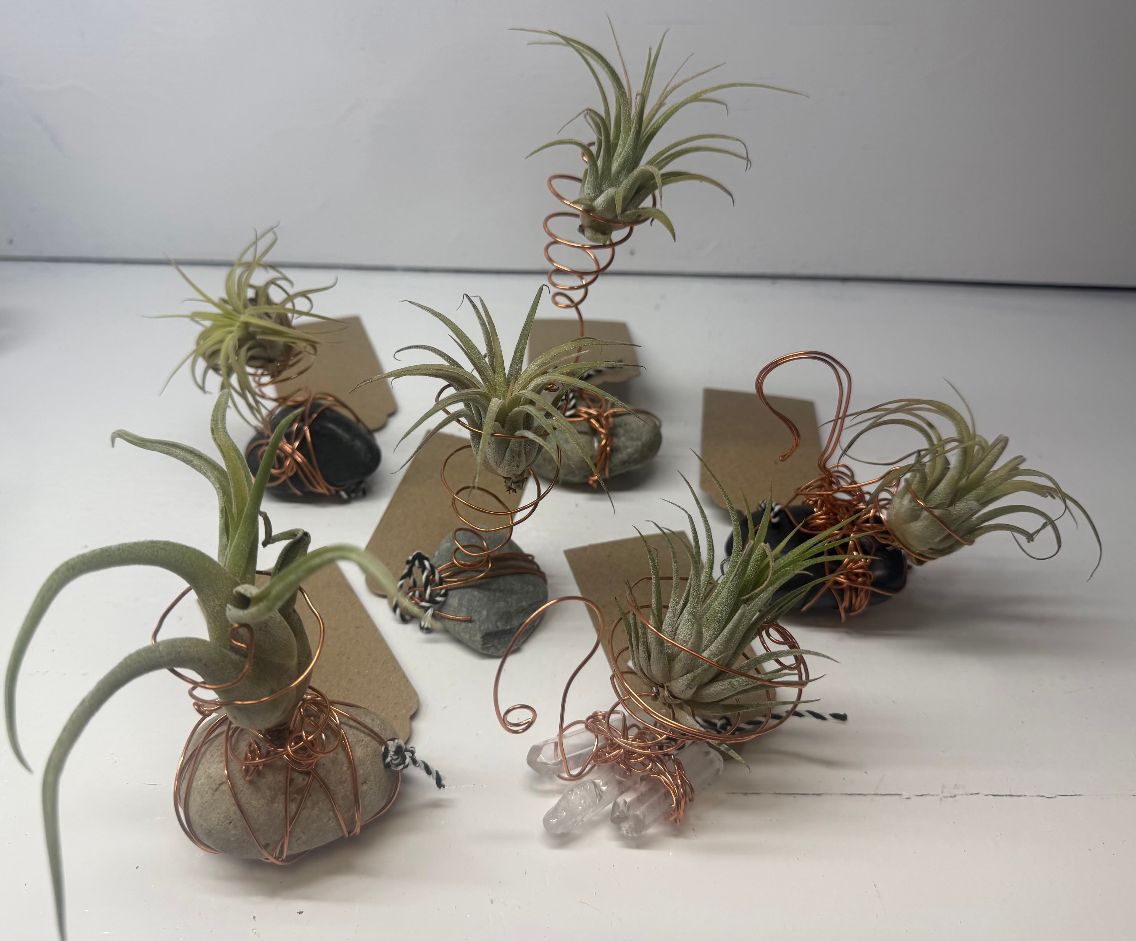 Gemstone Designs Electroculture Air Plants